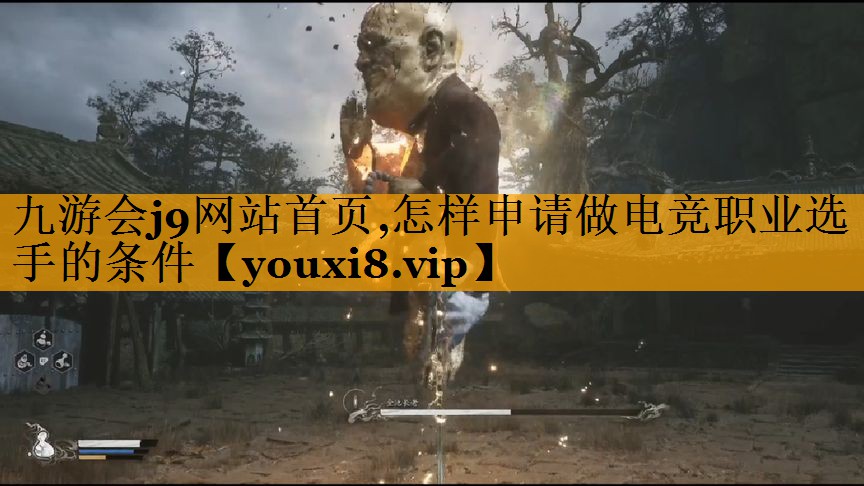 怎样申请做电竞职业选手的条件