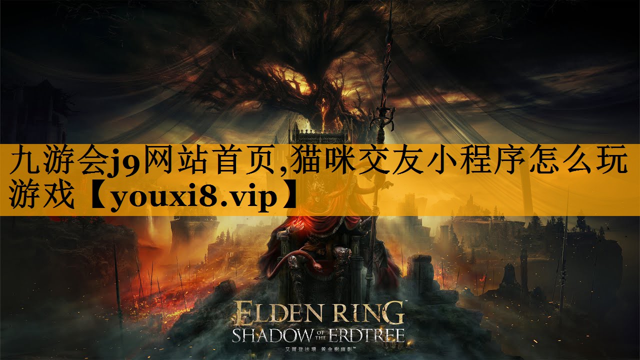 猫咪交友小程序怎么玩游戏